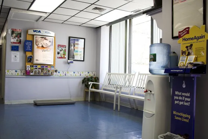 VCA South Shore Quincy Animal Hospital Picture 3