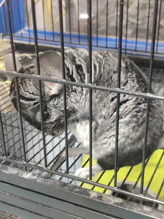 Greentree Pet Center Picture 8