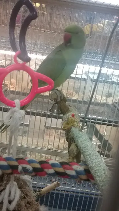 Greentree Pet Center Picture 3