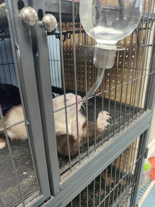 Greentree Pet Center Picture 10