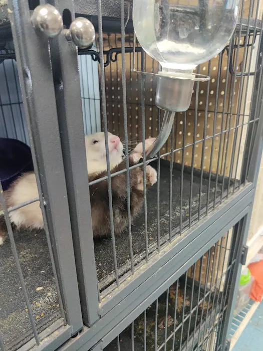 Greentree Pet Center Picture 4