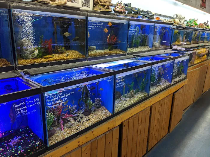 Greentree Pet Center Picture 7