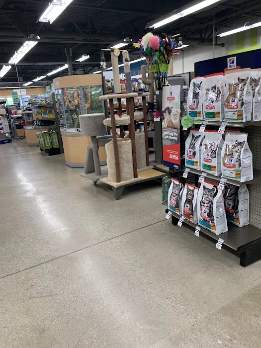 Petco Picture 1