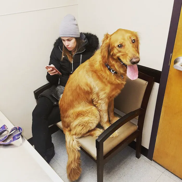 VCA Brookline Animal Hospital Picture 3