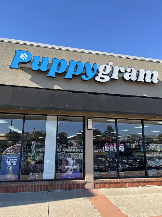 Puppygram Louisville Picture 7