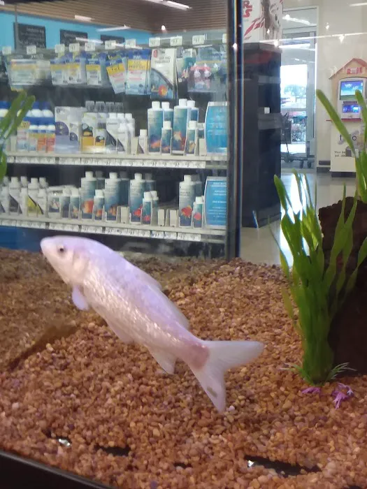 Petco Picture 1