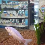Petco