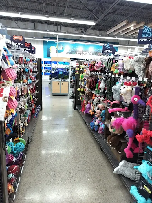 Petco Picture 4