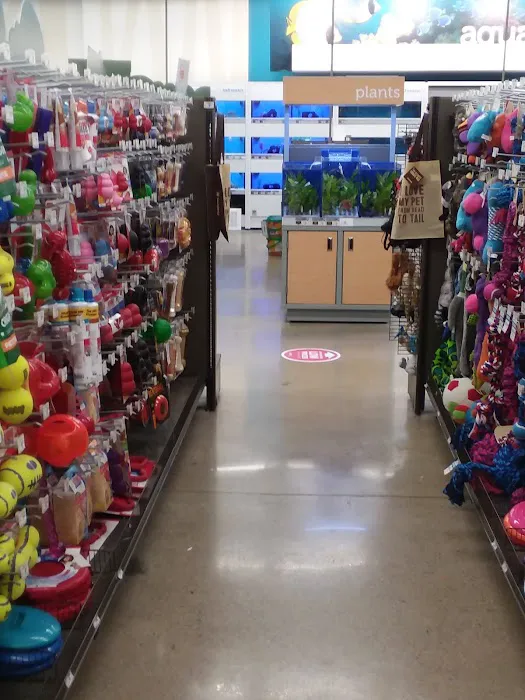 Petco Picture 5