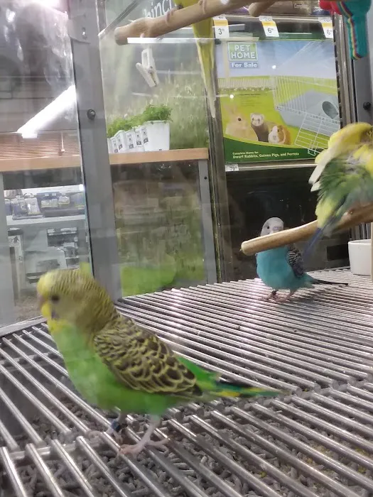 Petco Picture 10