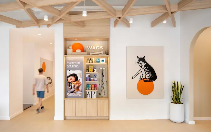 Small Door Veterinary - Brookline Picture 7