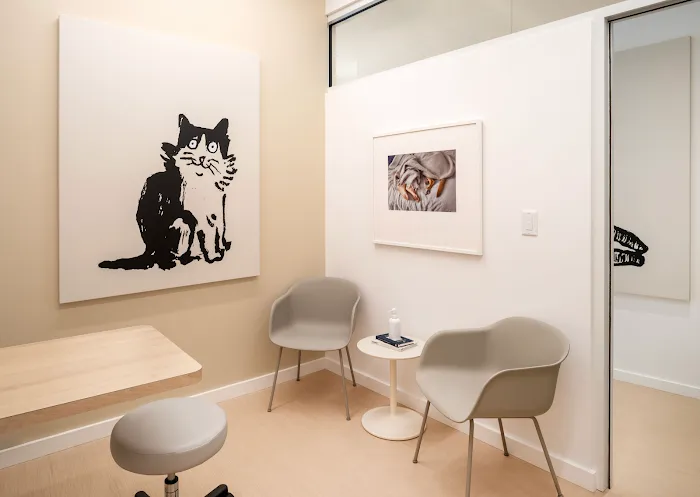 Small Door Veterinary - Brookline Picture 6