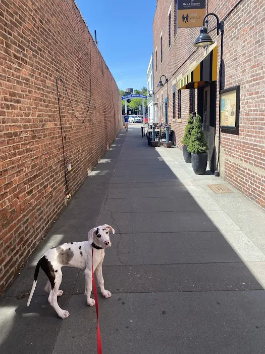 Boston Veterinary Clinic Picture 8