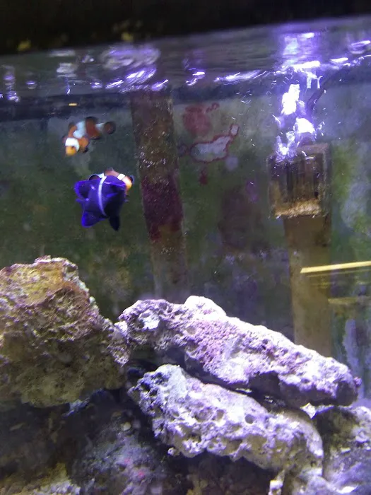Pet's Palace Picture 1