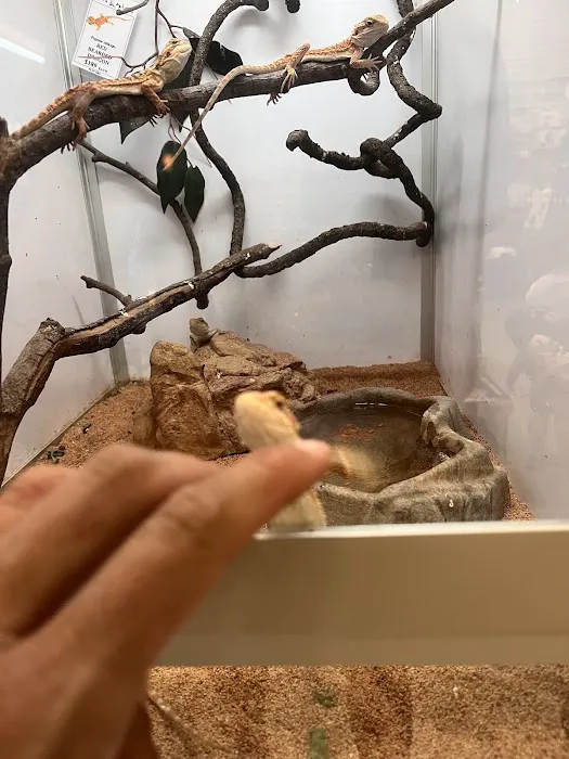 Pet's Palace Picture 10