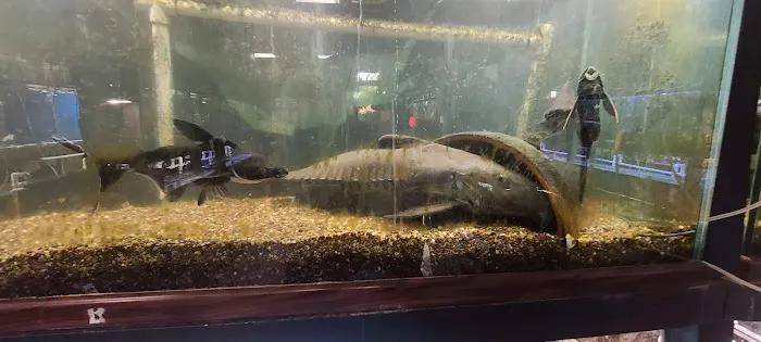 Pet's Palace Picture 2