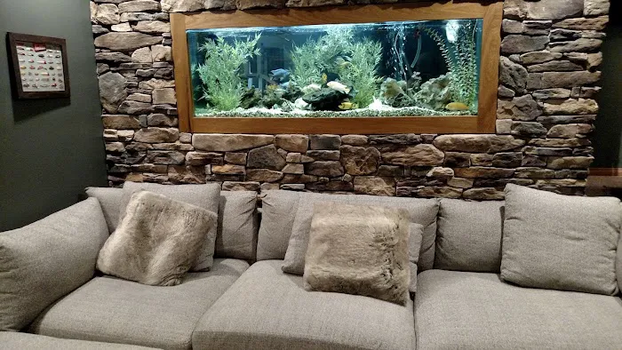 Aquarium Guy LLC Picture 2