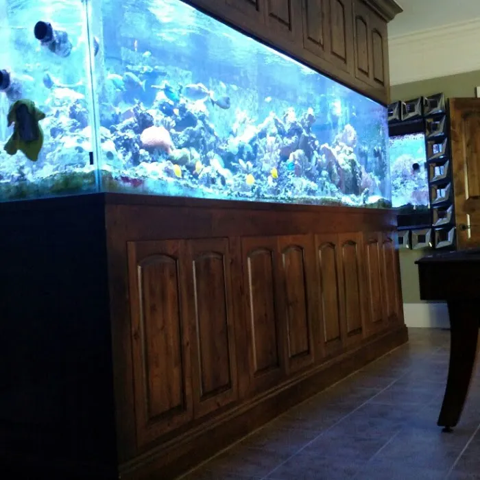 Aquarium Guy LLC Picture 5