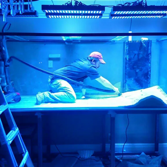 Aquarium Guy LLC Picture 3