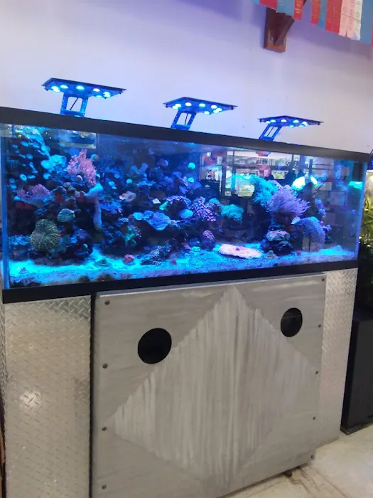 Aquarium Guy LLC Picture 4
