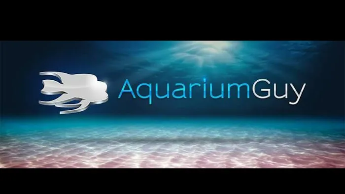 Aquarium Guy LLC Picture 6