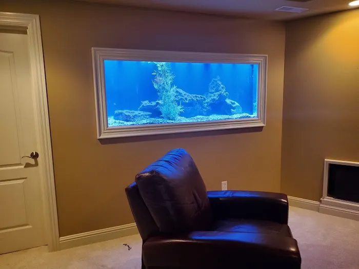 Aquarium Guy LLC Picture 9