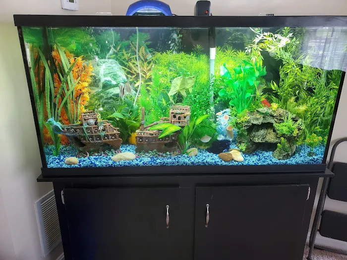 Aquarium Guy LLC Picture 8