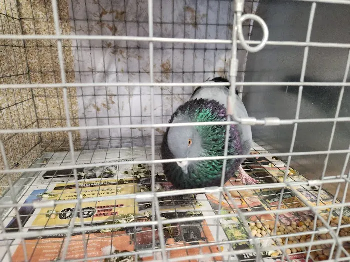 Soria Petshop Picture 8