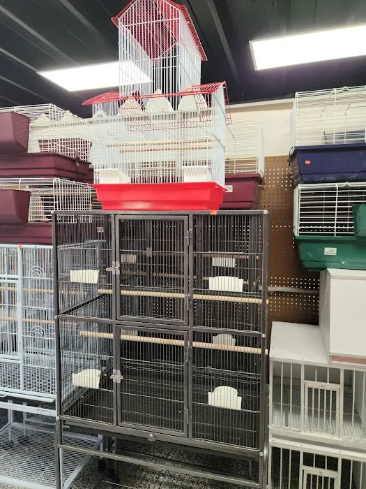 Soria Petshop Picture 4