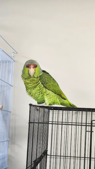 Soria Petshop Picture 10