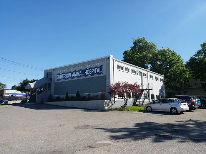 Emmerson Animal Hospital Picture 1