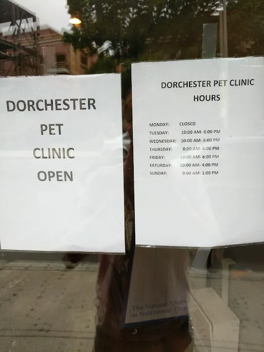 Dorchester Pet Clinic Picture 5