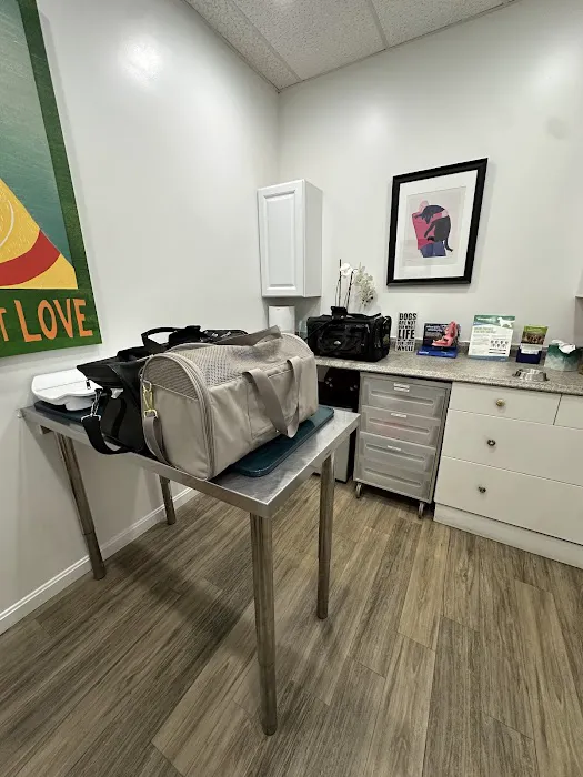 Pet Haven Animal Hospital Picture 6