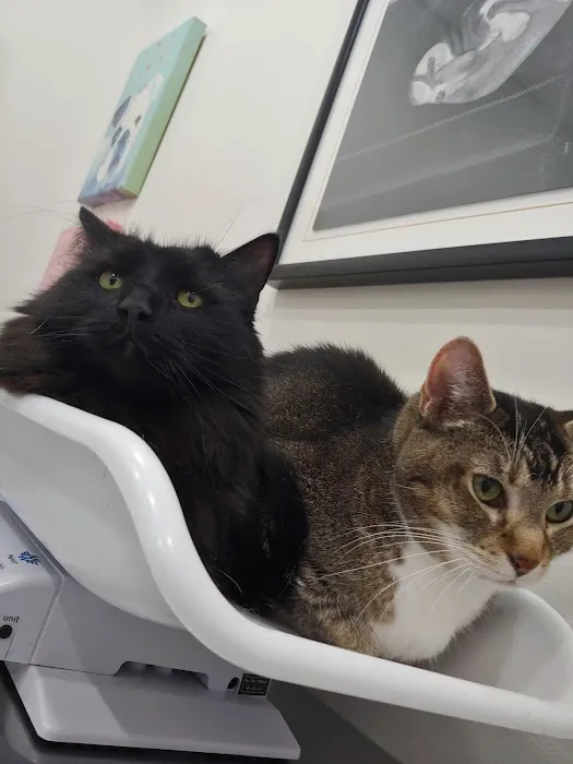 Pet Haven Animal Hospital Picture 3