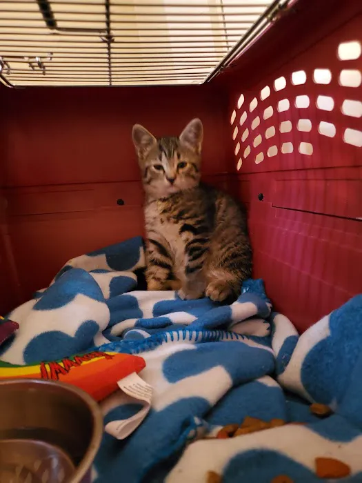 Pet Haven Animal Hospital Picture 4