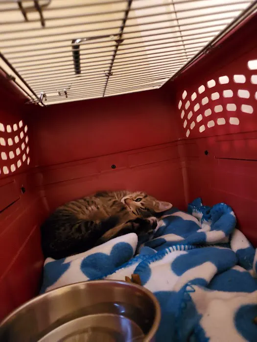 Pet Haven Animal Hospital Picture 10