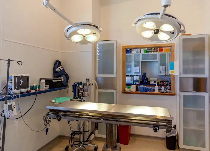 Heal Veterinary Clinic Picture 3