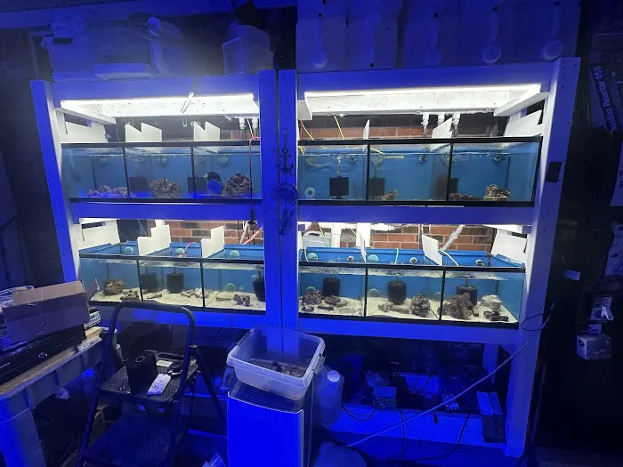 Derby City Aquatics Picture 7