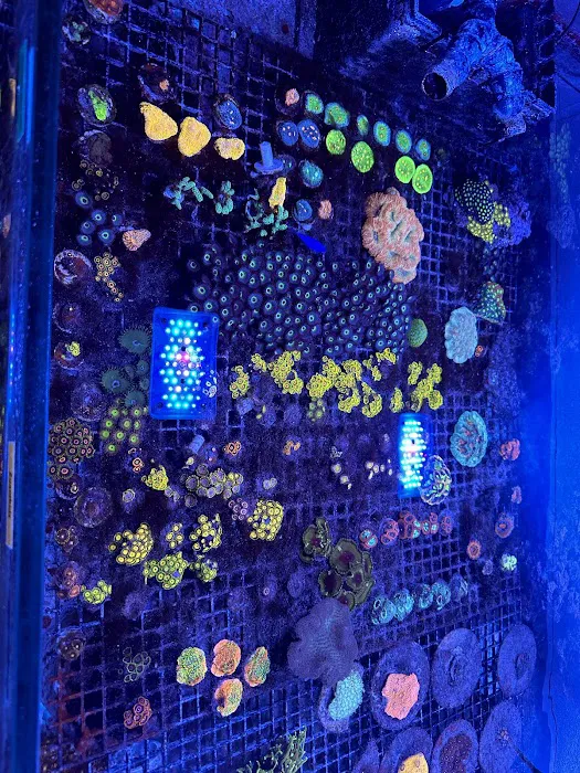 Derby City Aquatics Picture 3