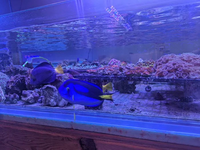 Derby City Aquatics Picture 2