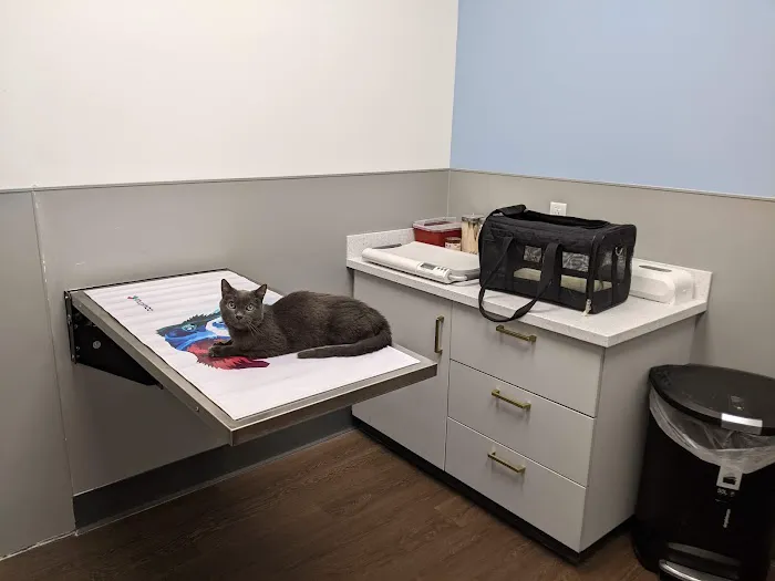 PetMedic Urgent Care Vet Clinic - Burlington Picture 8