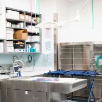 PetMedic Urgent Care Vet Clinic - Burlington ico