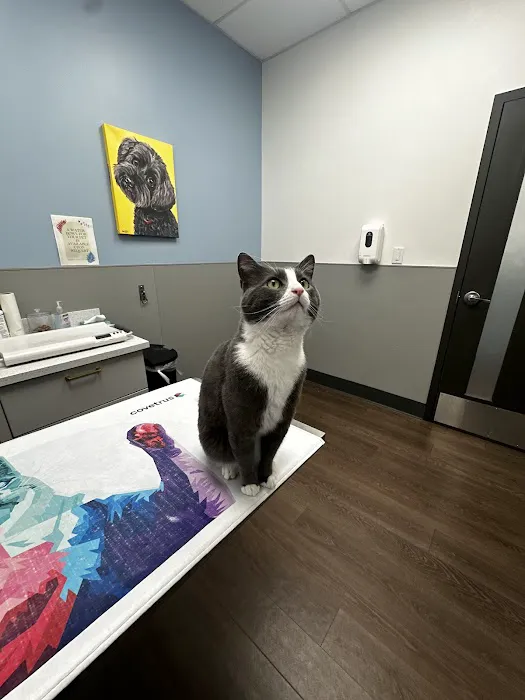 PetMedic Urgent Care Vet Clinic - Burlington Picture 6