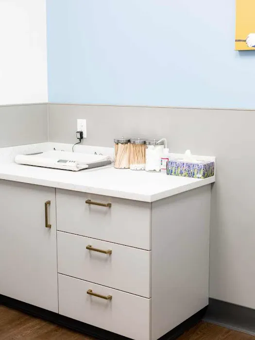 PetMedic Urgent Care Vet Clinic - Burlington Picture 7