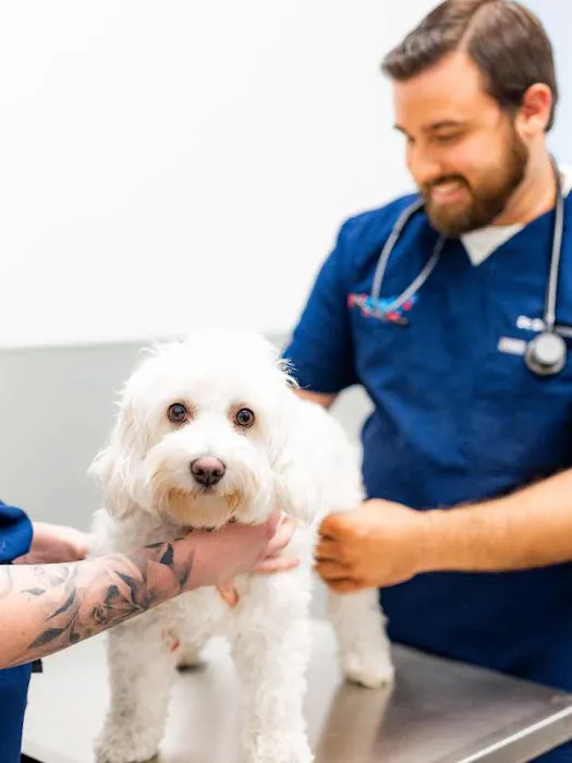 PetMedic Urgent Care Vet Clinic - Burlington Picture 2