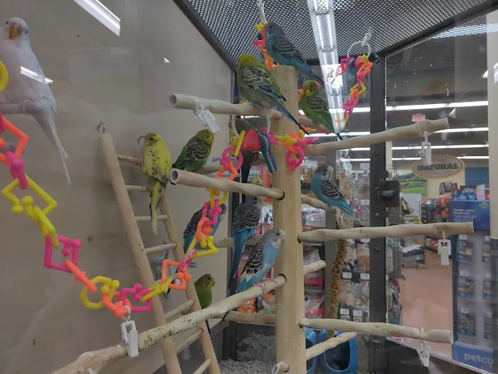 Petco Picture 8