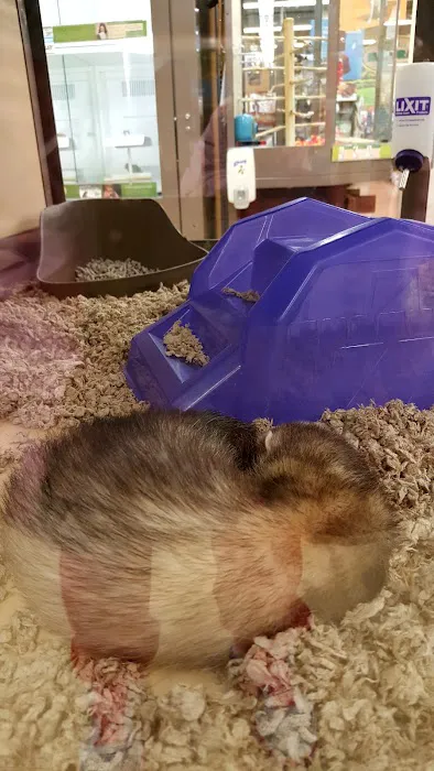 Petco Picture 5