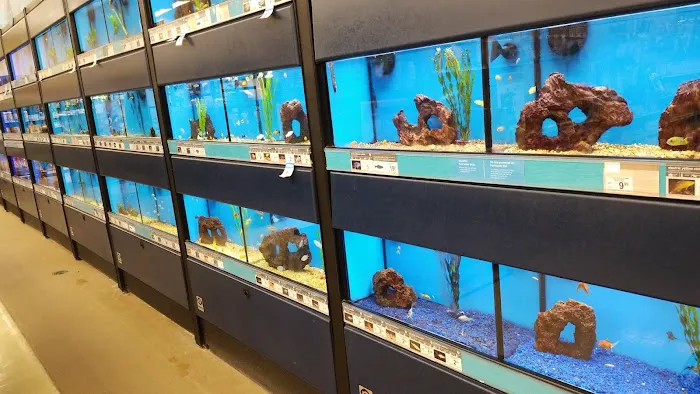 Petco Picture 1