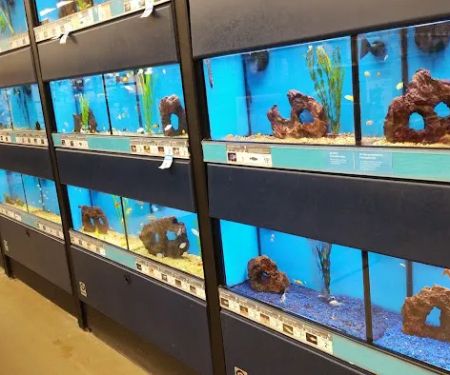 Petco
