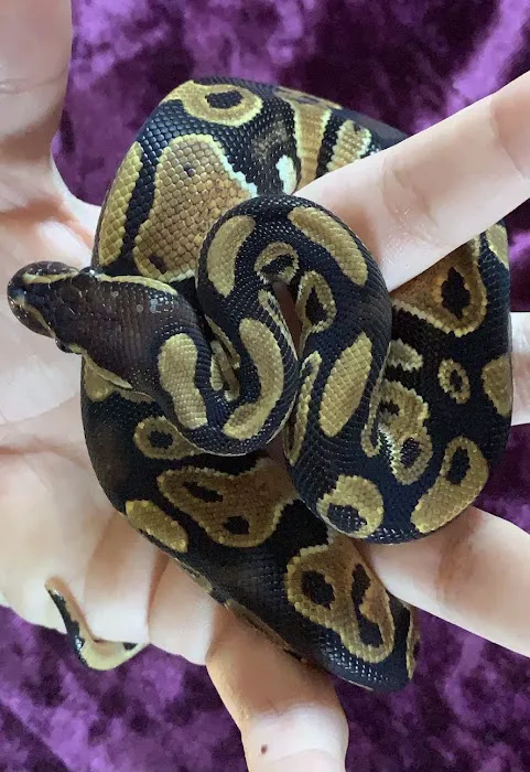 Petco Picture 2
